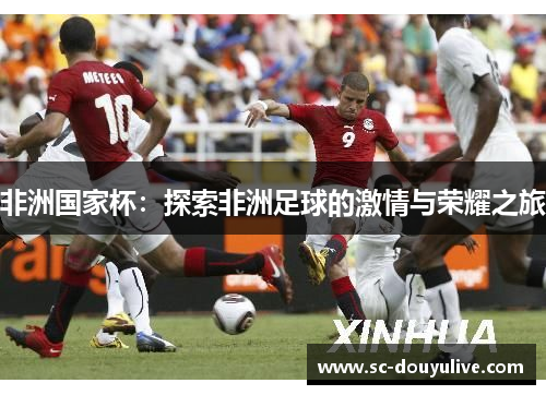 非洲国家杯：探索非洲足球的激情与荣耀之旅